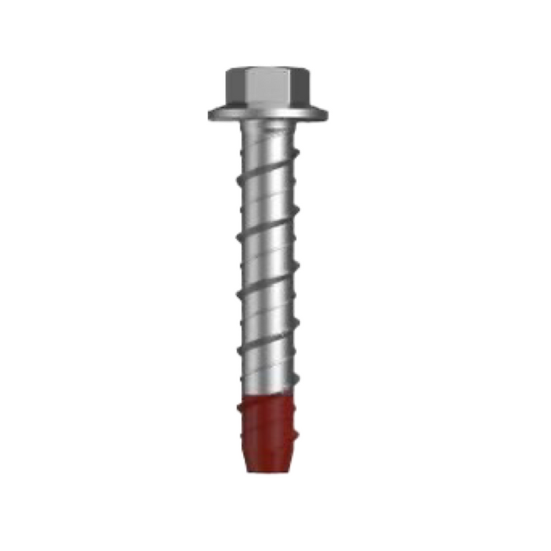 SS316 STAINLESS STEEL CONCRETE ANCHOR 6MM X 50MM 50PCS/BOX