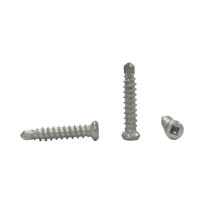 EXPRESSWALL SCREW DRILL POINT CSK HEAD 10G 30MM GAL 1000PCS/BOX